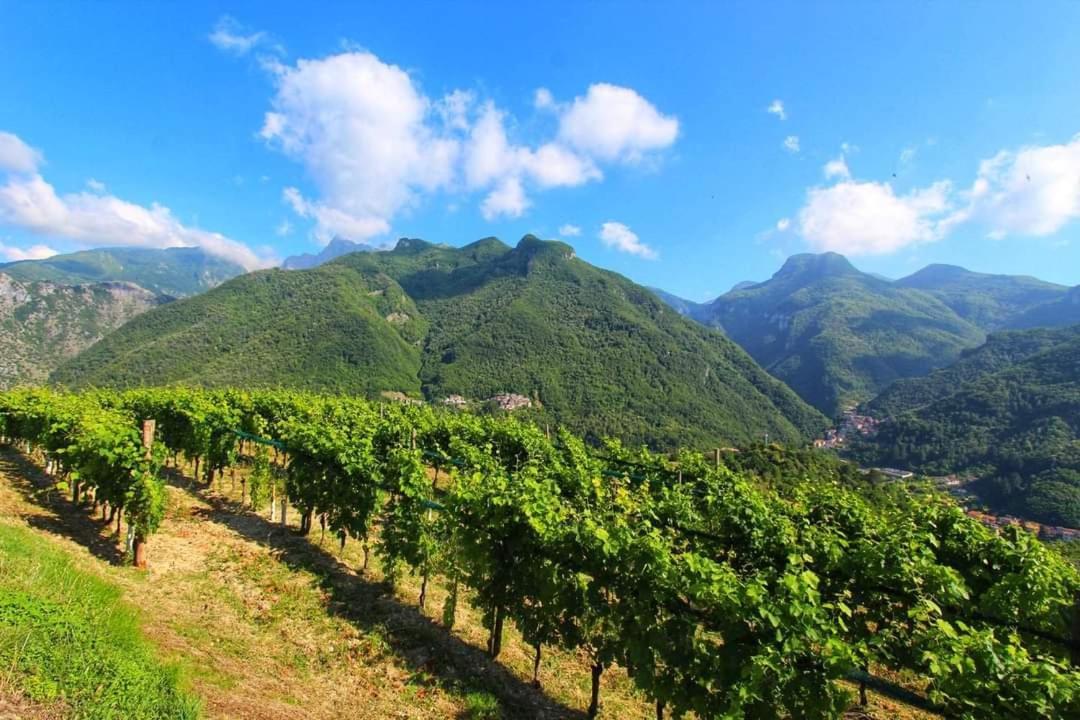 Casa Silvana Equi Terme Dış mekan fotoğraf